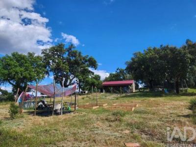 Vente Maison Castelo-branco ESCALOS-DE-BAIXO-E-MATA 04