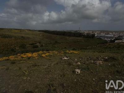 Acheter Terrain 5560 m2 Vila-do-bispo