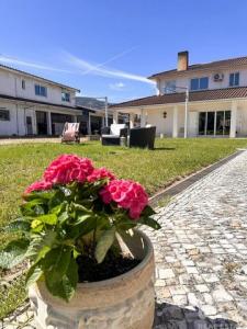 Annonce Vente Maison Lousa