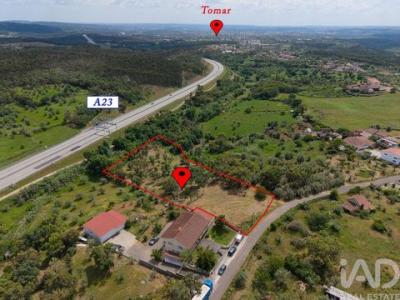 Annonce Vente Terrain Tomar