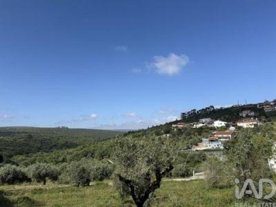 Acheter Terrain Porto-de-mos r�gion LEIRIA