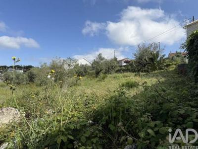Annonce Vente Terrain Porto-de-mos