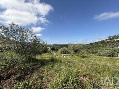 Acheter Terrain 1920 m2 Porto-de-mos