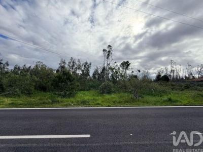 Acheter Terrain 4198 m2 Marinha-grande