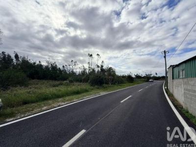 Acheter Terrain Marinha-grande r�gion LEIRIA