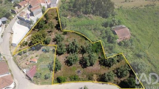 Acheter Terrain 700 m2 Miranda-do-corvo