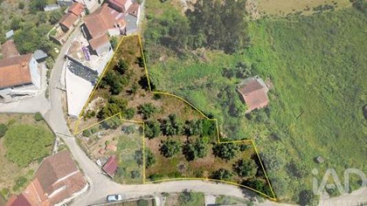 Acheter Terrain Miranda-do-corvo r�gion COIMBRA