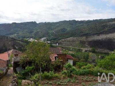 Annonce Vente Maison Oliveira-do-hospital