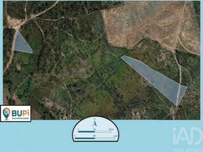 Annonce Vente Terrain Ourem