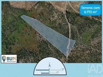 Acheter Terrain 8417 m2 Ourem