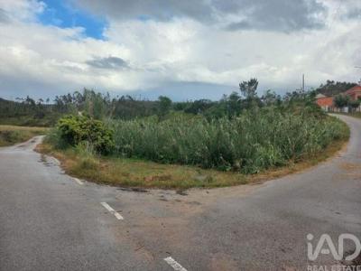 Acheter Terrain 4972 m2 Ourem