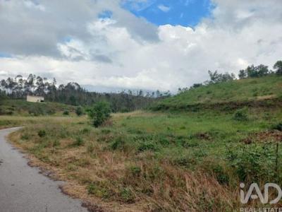 Acheter Terrain Ourem r�gion SANTAREM