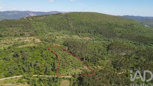 Annonce Vente Terrain Ansiao