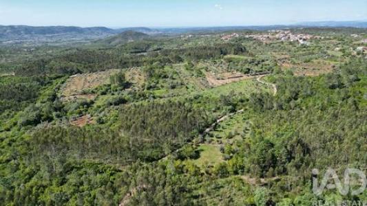 Acheter Terrain 5560 m2 Ansiao