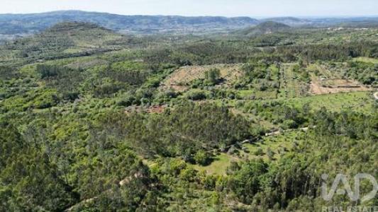 Acheter Terrain Ansiao r�gion LEIRIA