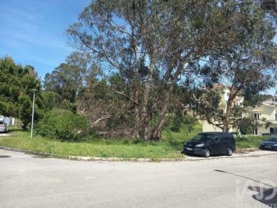 Annonce Vente Terrain Rio-maior