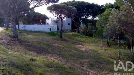 Annonce Vente Terrain Loule