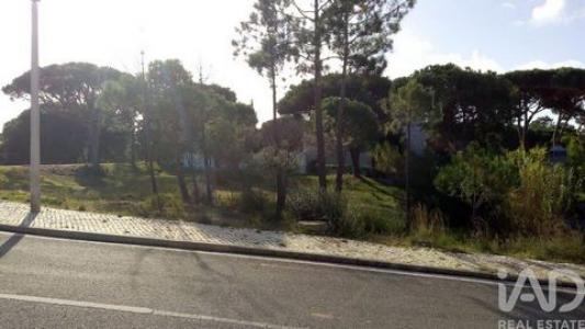 Acheter Terrain 1055 m2 Loule