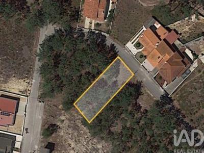 Acheter Terrain Leiria r�gion LEIRIA