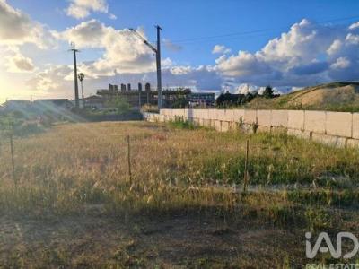 Annonce Vente Terrain Alcobaca