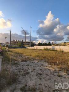 Acheter Terrain Alcobaca r�gion LEIRIA