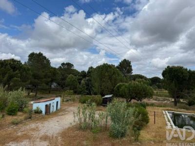 Vente Terrain Montijo PEGA�ES 15 au Portugal