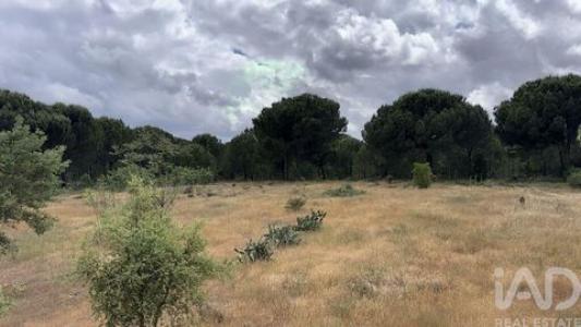 Annonce Vente Terrain Montijo