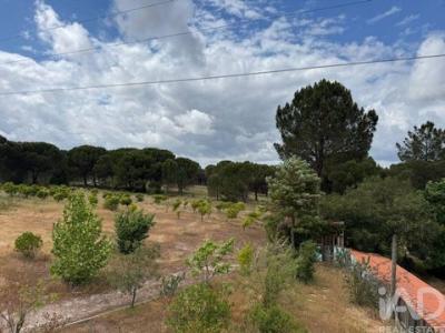 Acheter Terrain 25750 m2 Montijo