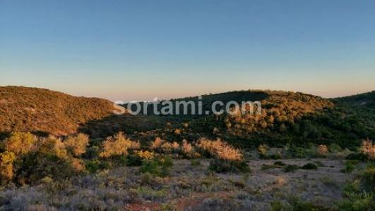Annonce Vente Terrain Albufeira