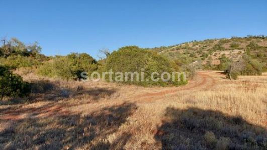 Acheter Terrain Albufeira