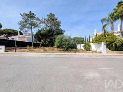 Annonce Vente Terrain Loule