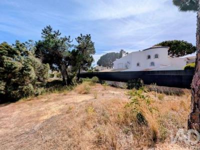Acheter Terrain 805 m2 Loule
