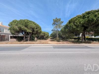 Vente Terrain Loule ALMANCIL 08 au Portugal