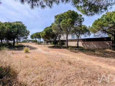 Annonce Vente Terrain Loule