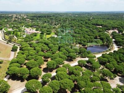 Annonce Vente Terrain Benavente