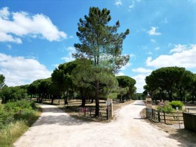 Acheter Terrain Benavente r�gion SANTAREM