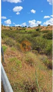 Acheter Terrain Castro-marim r�gion FARO