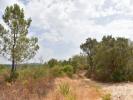 Acheter Terrain 1600 m2 FERREIRA-DO-ZEZERE