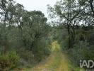 Acheter Terrain 1080 m2 FERREIRA-DO-ZEZERE