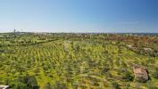 Vente Terrain ALBUFEIRA 8200