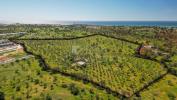 Acheter Terrain 32767 m2 ALBUFEIRA