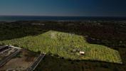 Acheter Terrain ALBUFEIRA r�gion FARO