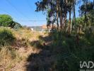 Acheter Terrain 2154 m2 LEIRIA