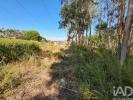 Acheter Terrain LEIRIA r�gion LEIRIA