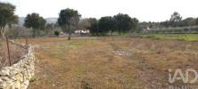 Acheter Terrain 2759 m2 ALCOBACA