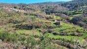 Acheter Terrain CELORICO-DA-BEIRA r�gion GUARDA