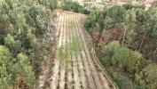Acheter Terrain CABECEIRAS-DE-BASTO r�gion BRAGA