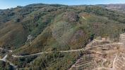Acheter Terrain CELORICO-DE-BASTO r�gion BRAGA