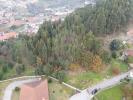 Acheter Terrain 7490 m2 SANTO-TIRSO