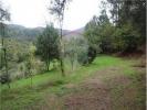 Acheter Terrain TERRAS-DE-BOURO r�gion BRAGA